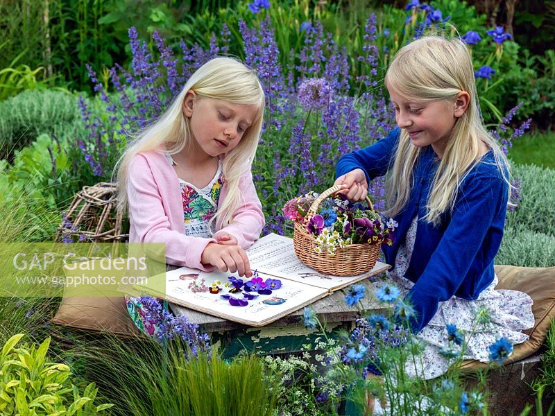 Children picking and pressing flowers between the pages of an old nursery rhyme book. They have chosen pimpinella, cow parsley, violas, hardy geraniums and love-in-the-mist.