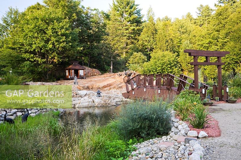 Brown wooden footbridge over rock formed pond bordered by Japanese tea salon, black heron bird sculptures, Juniperus - Juniper shrubs in private front yard Zen garden in summer