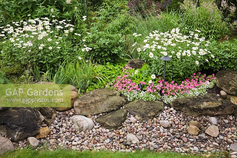 Dry stream bordered by pink Impatiens and white Leucanthemum vulgare - Ox-eye Daisy flowers in residential backyard garden in summer