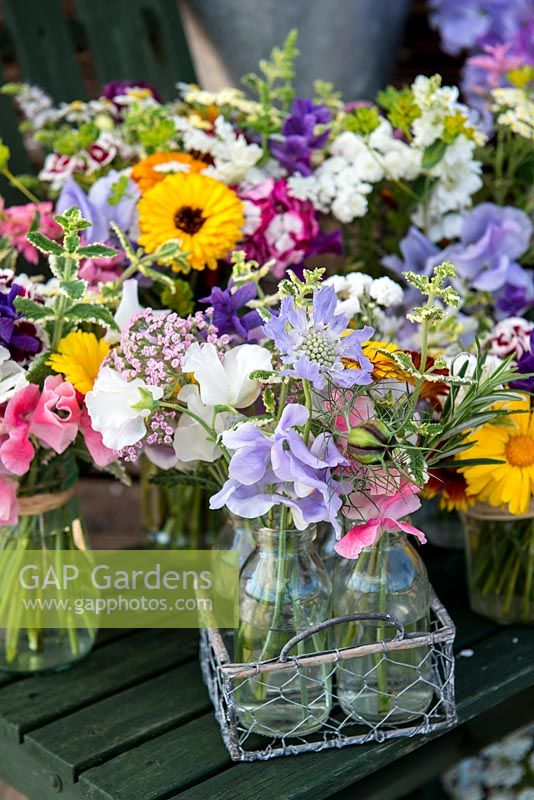 At Organic Blooms, flowers are grown for cutting and arranging. They include marigold, cosmos, larkspur, ammi, sweet peas, clary sage, scabious, sweet william, achillea, nicotiana, cornflower, godetia, feverfew, zinnia and statice., feverfew, zinnia and statice.