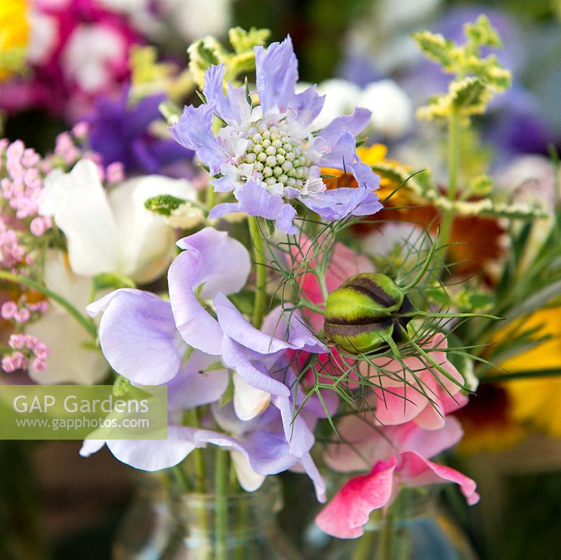 Cut flowers including scabious, sweet pea and seedhead of love-in-the-mist.
