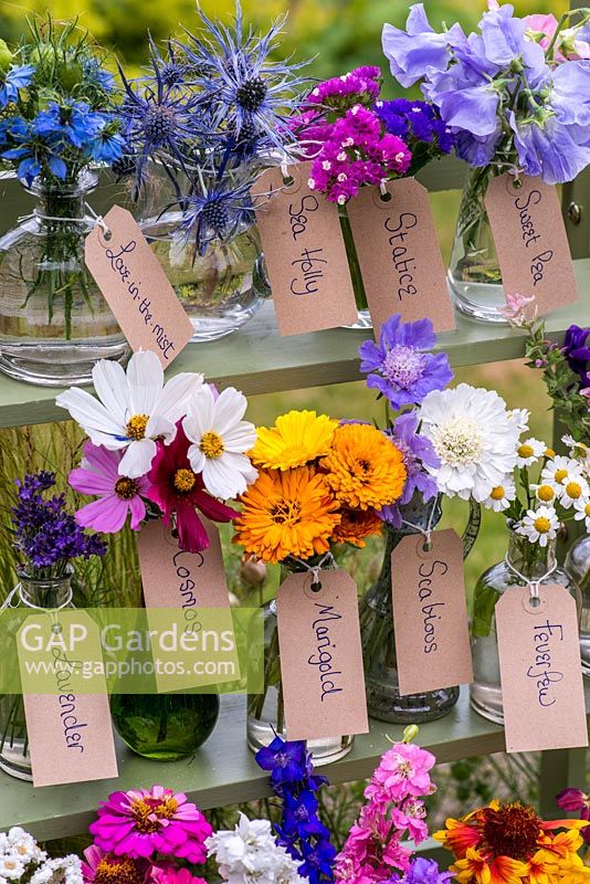 Glass jars and bottles filled with cut flowers grown in the garden. Pictured from left to right - love-in-the mist, sea holly, statice, sweet pea, lavender, cosmos, marigold, scabious, feverfew.