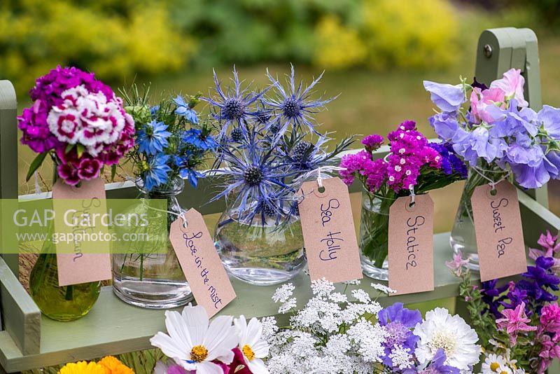 Glass jars and bottles filled with cut flowers grown in the garden. Pictured from left to right - sweet  William, love-in-the-mist, sea holly, statice and sweet pea.