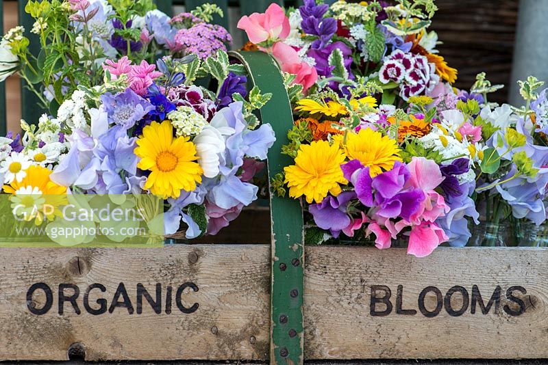 Easily grown annuals, tied into pretty posies, and stacked in a large old wooden box.