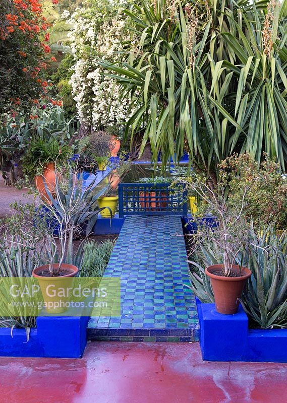 Jardin Majorelle, Yves Saint Laurent garden, tiled path leading to the water lily pond