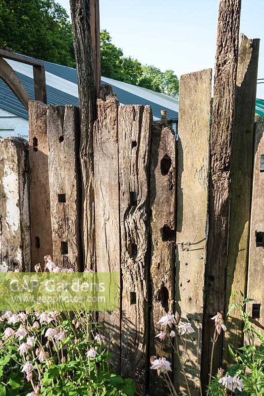Fence made of reclaimed timber and driftwood in the nursery. King John's Nursery, Etchingham, East Sussex, UK
