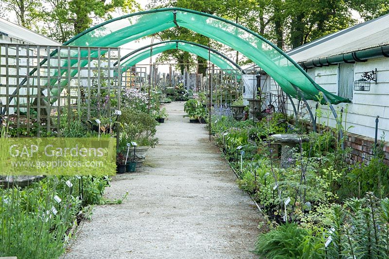 Path lined with plants in the nursery with driftwood and reclaimed timber fence at its end. King John's Nursery, Etchingham, East Sussex, UK