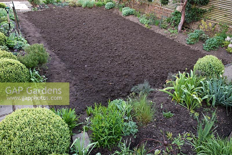 Lawn Restoration. After removing the top 3 - 4cm of the old lawn, the soil is dug to a depth of 15cm.