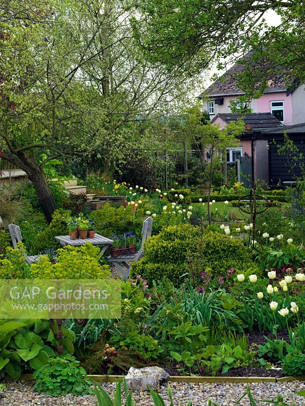 Quiet seating area amidst borders of tulips, daffodils, hellebores, ragged robin, euphorbia and ferns.