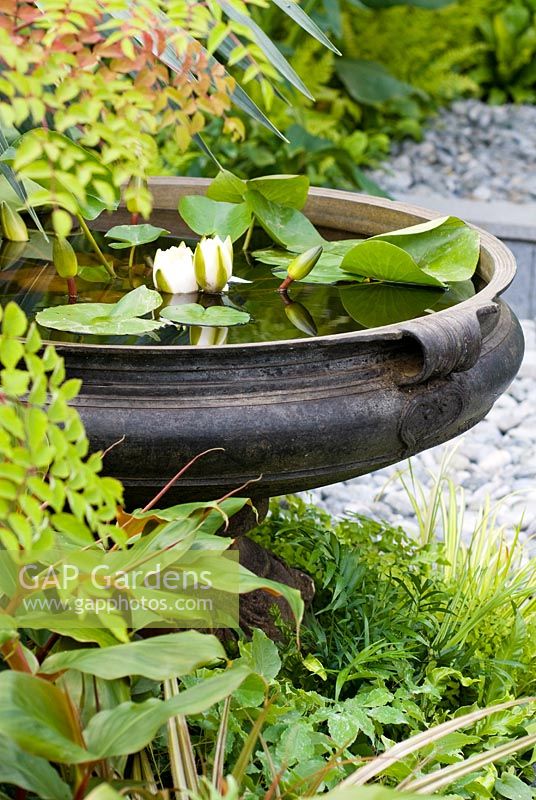 Small water feature with Nymphaea, Water Lily in stone urn, planter in The Burgbad Sanctuary.  RHS Hampton Court Flower Show 2008