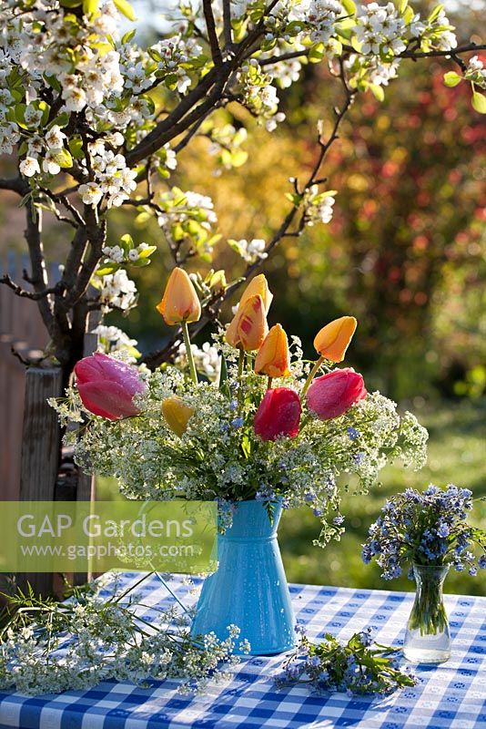 Floral arrangements with tulips, cow parsley and forget-me-nots. Flowering pear tree Pyrus communis 'Williams'.