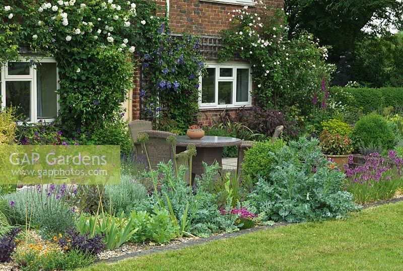 A front garden patio with alliums, erysimum and horned poppy. The house has Clematis 'Perle d'Azur' and Rosa 'Cecile Brunner' with 'Madame Alfred Carriere'.