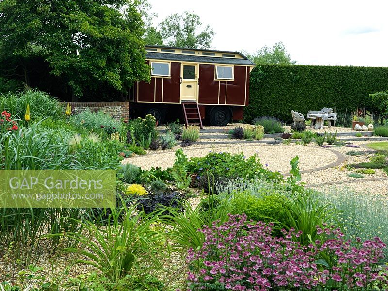 A gravel garden with showman's caravan is backed by a clipped hedge. Informal borders include Geranium 'Rozanne', Astrantia 'Roma', Eremurus bungei, santolina and Achillea 'Sunny Seduction'.