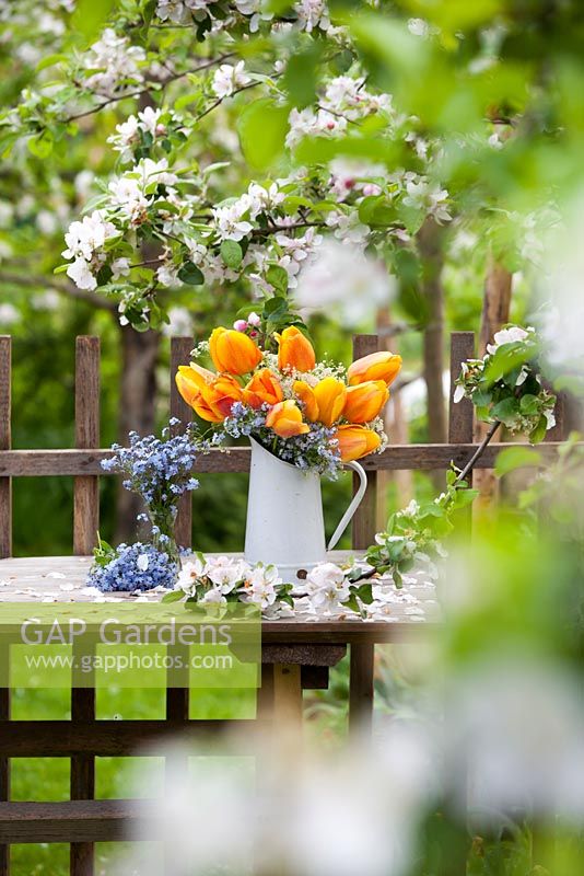 Floral arrangement with tulips, cow parsley and forget-me-nots on the table under a flowering apple tree.