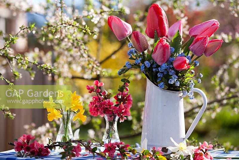 Floral arrangements of tulips, daffodils,  forget-me-nots and Japanese quince