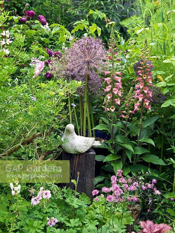 A concrete sculture of a dove sits on a reclaimed wooden post amongst a border planted with Digitalis 'Illumination Pink', Allium cristophii and Astrantia.