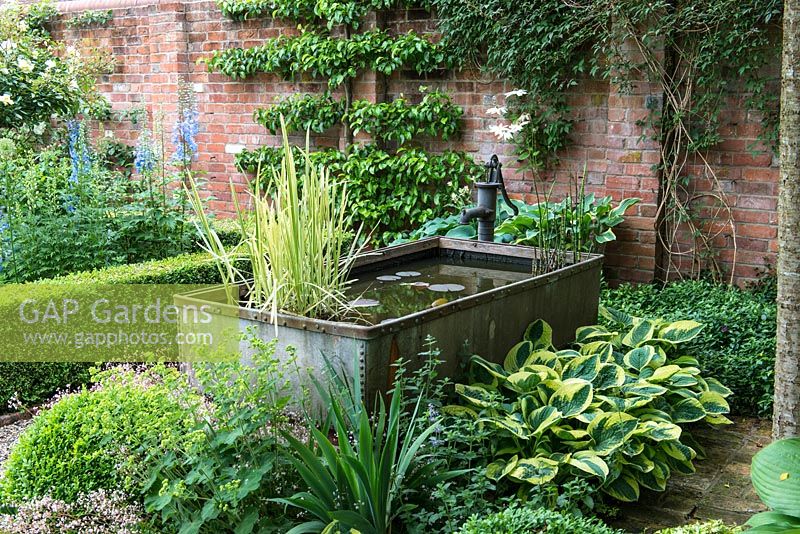 A galvanised metal animal feeding trough converted into a small pond in a shady corner of a walled garden surrounded by shade tolerant planting including hosta and box.