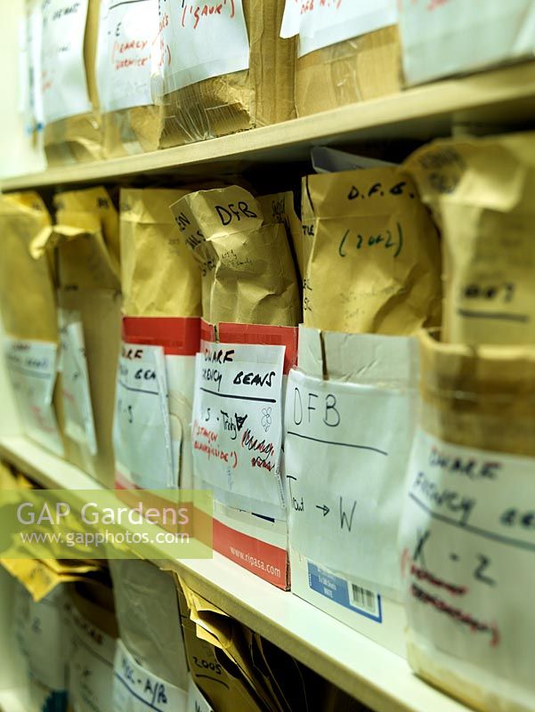 The storage room at Garden Organic's Heritage seed Library.