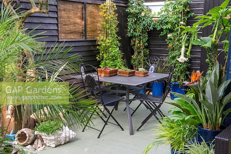 A decked dining area surrounded by painted sheds and containers planted with Datura, Strelitzia, Passiflora 