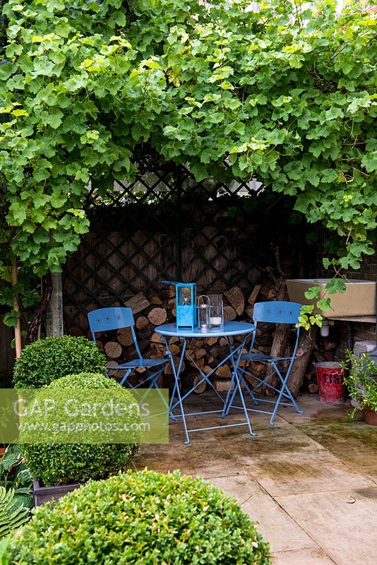 A secluded seating area under a pergola supporting a large grape vine.