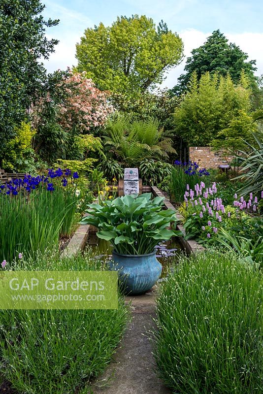 View along the pool, over lavender, potted hosta, Iris sibirica Caesar's Brother, Hakonechloa macra and pink Persicaria bistorta Superba and male ferns. Left border - bamboo, Koelreuteria paniculata, maple, photinia. Right border - phormium and maple. Pond sculpture by Peter Hayes.