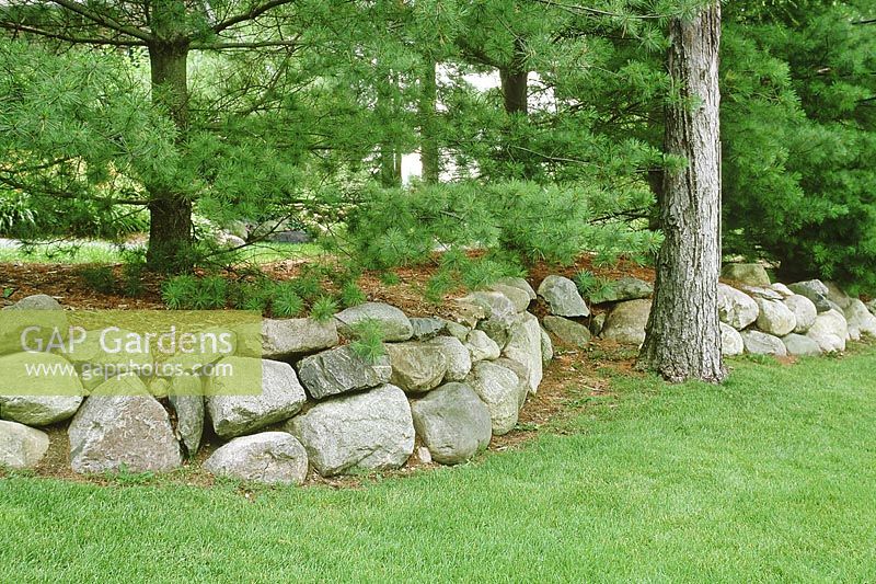 Dry stone wall, made from boulders, keeping lawn and pine trees separate. Michigan, USA, July.