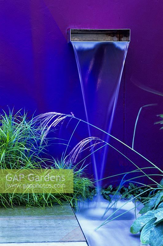 Water spout and rill and a purple painted wall in a modern town garden in Cambridge. Designed by Paul Dracott