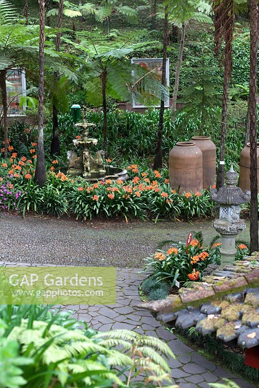 Large urns and Japanese lantern in Monte Palace Tropical Garden, Madeira, with fountain fringed by clivia miniata