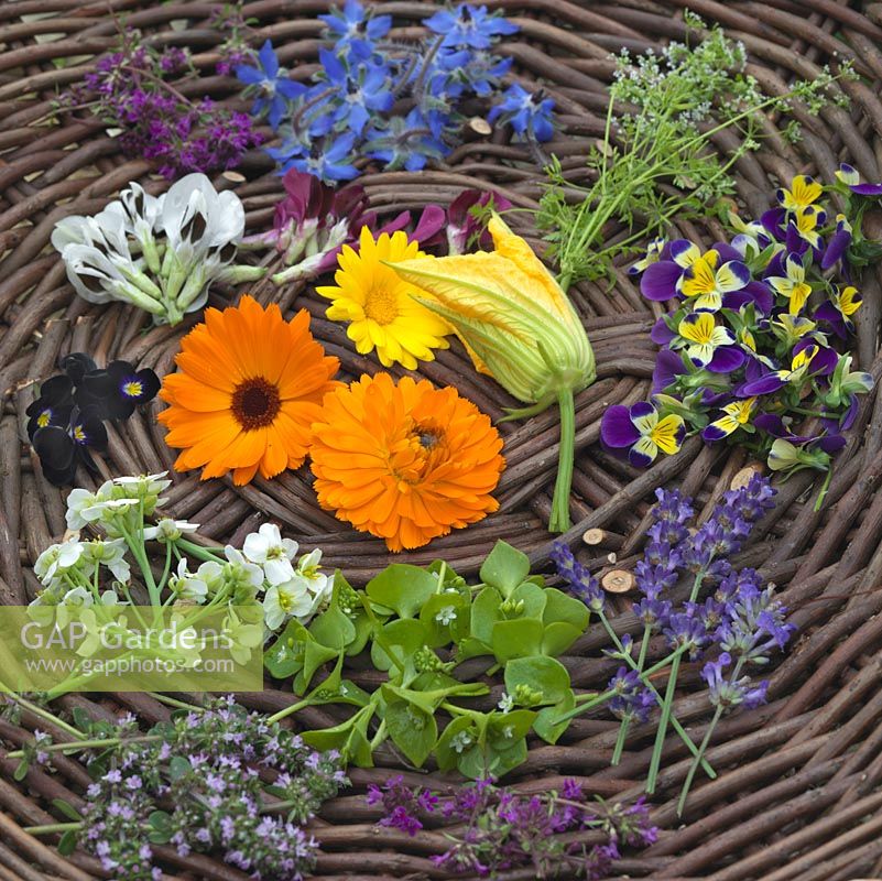 Freshly picked edible flowers to include borage, marigold, courgette, thyme, lavender, borage, bean and viola.