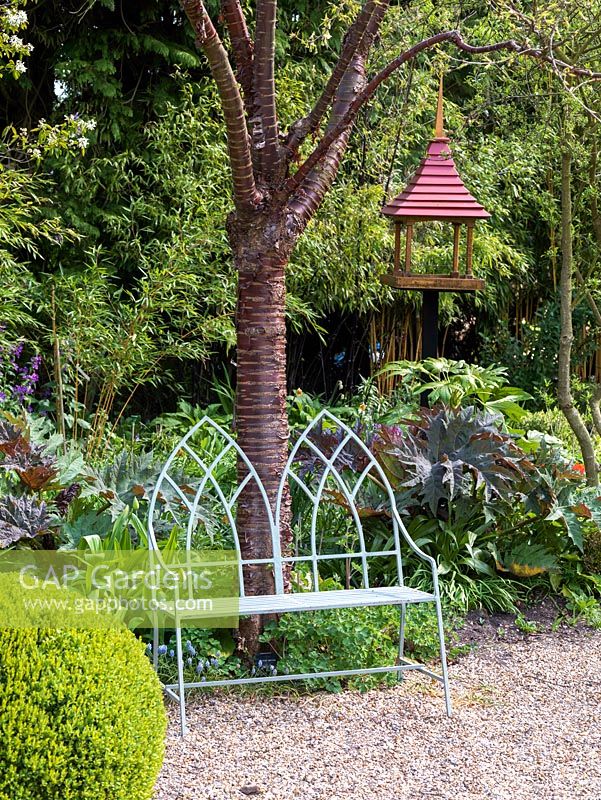 Prunus serrula, with striking bark, shelters an ornate bench and hanging bird table.