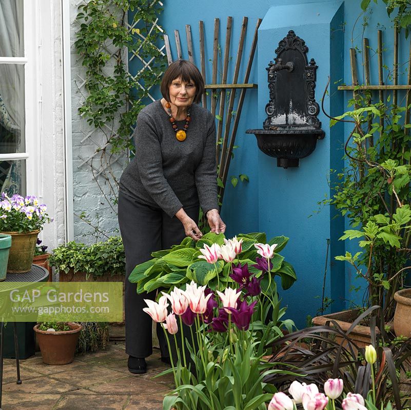 Judith Strong on the sunny patio of her 18m x 7m walled London back garden full of spring tulips.
