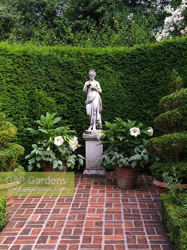 Classical statue on plinth in formal brick courtyard enclosed in curving yew hedge. Pots of box spirals and Datura.
