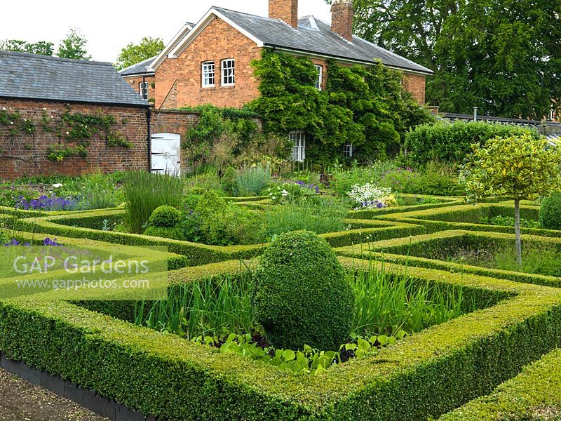 In walled garden, potager of box-edged beds filled with flowers, topiary and vegetables. Near beds: beans, onions, box, hardy geranium, holly standard, grasses.