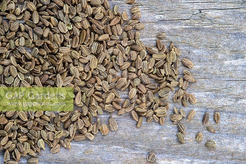 Carrot 'Royal Chantenay' seeds on wooden board