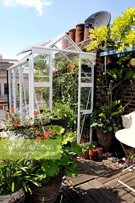 Greenhouse on rooftop garden with chimney pots, Central London