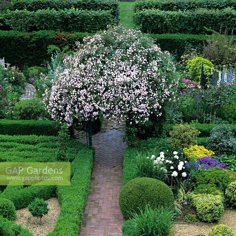 Arbour draped Rosa Pauls Himalayan Musk straddles brick path dividing Knot garden from Gravel area, Silver Pear garden from Gertrude Jekyll garden