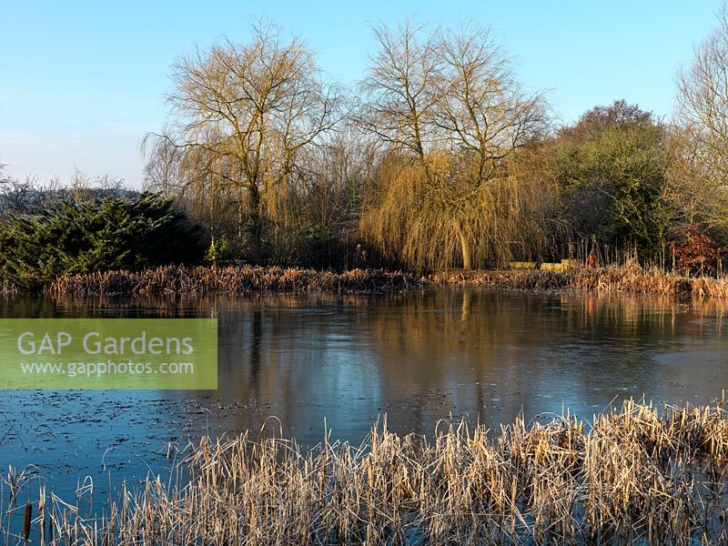 An early morning winter view of the ornamental lake at Wilkins Pleck.