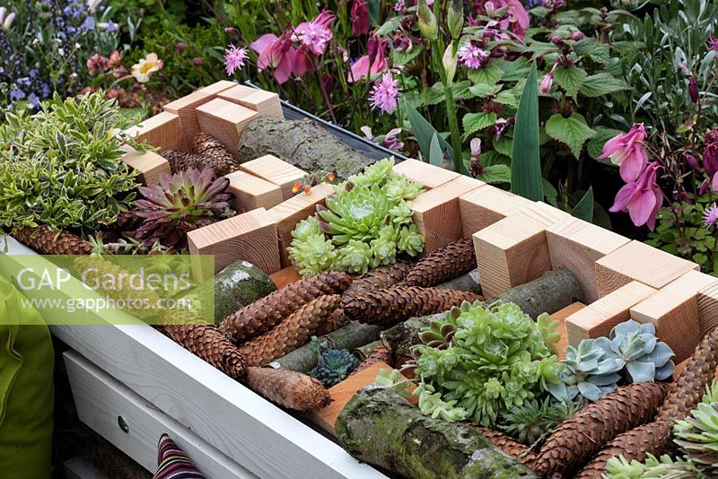 Raised bed in the sunken garden of The Perfect Commute at Malvern Spring Gardening Show 2015, featuring sempervivums, logs and pine cones 