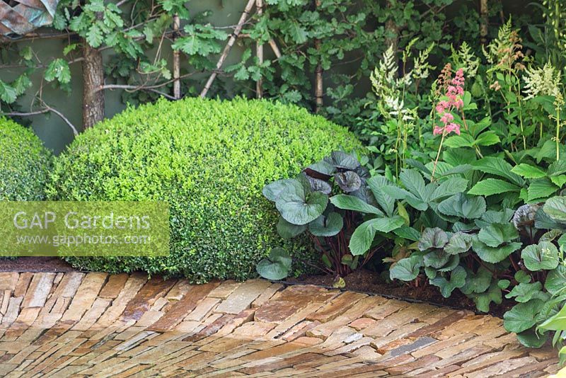 The Time In Between by Husqvarna and Gardena. Stone water feature with planting of Buxus sempervirens, Astilbe, Rodgersia and Ligularia dentata 'Midnight Lady'