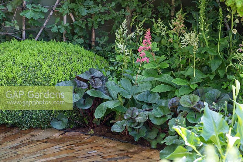 The Time In Between by Husqvarna and Gardena. Stone water feature with planting of Buxus sempervirens, Astilbe, Rodgersia and Ligularia dentata 'Midnight Lady'.