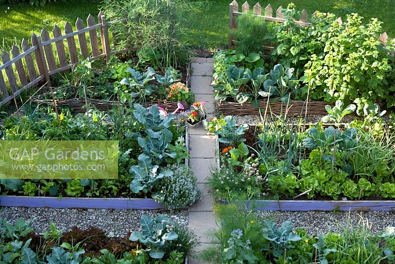 Kitchen garden with raised beds and paths.