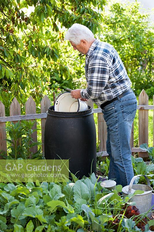 Man filling bucket from water butt with a ready-to-use insecticide or fertilizer solution, made from water and nettles steeping for at least 24 hours