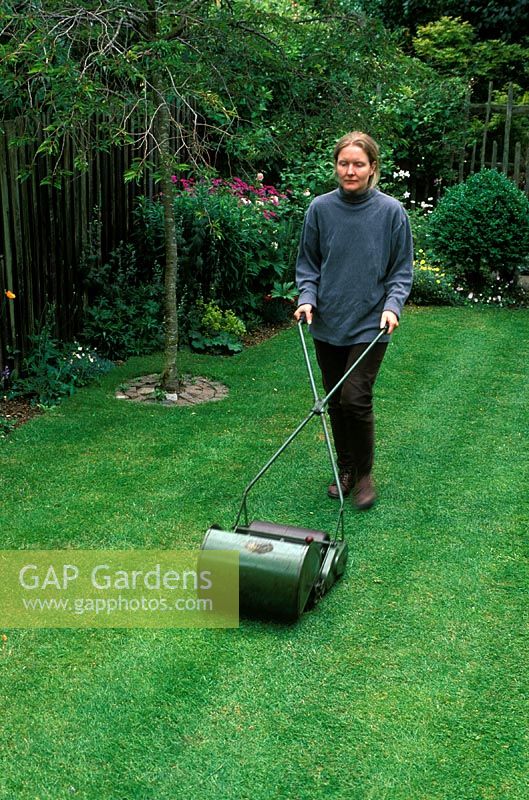 Woman mowing lawn using hand cylinder mower, June