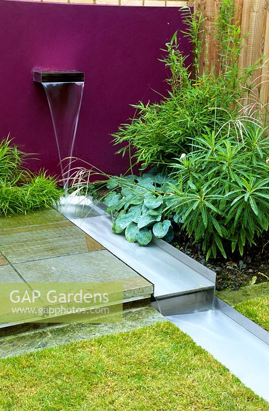 Purple wall with water spout into a stainless steel rill, surrounded by paving, grass, Euphorbia, Hostas and bamboo. 