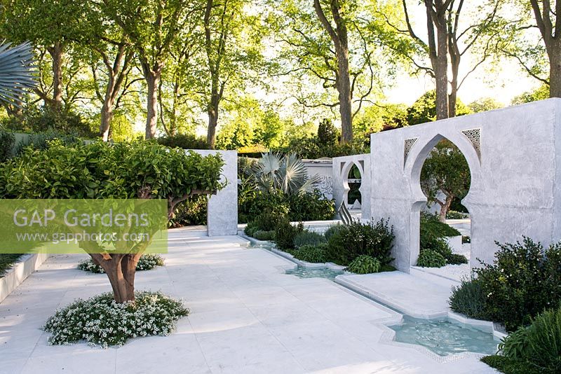 View of citrus nobilis trees, thymus vulgaris and palm Bismarckia nobilis planted in white marble area with water feature and walls with arabic style arches against olive hedge - Olea europaea. The Beauty of Islam.  Chelsea Flower Show 2015
