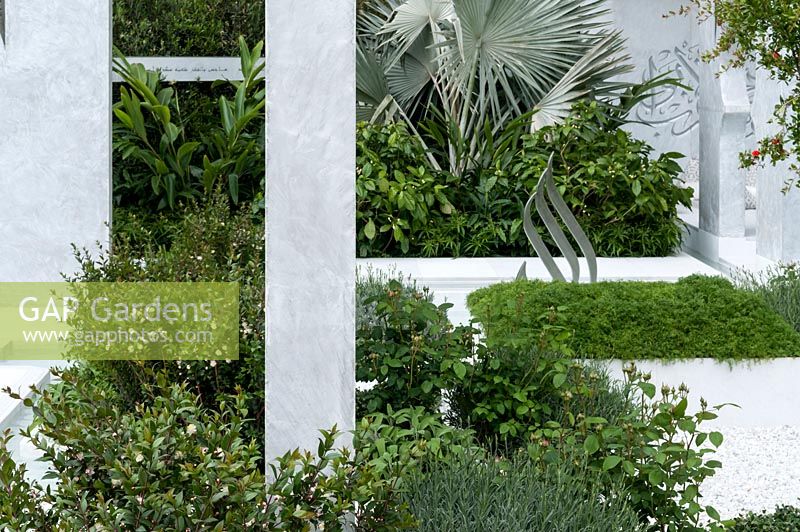 The Beauty of Islam, a garden that reflects Arabic and Islamic culture which includes  plants - Citrus auranticum trees, Myrtus communis, Thymus vulgaris and serphyllum, Chomomile. RHS Chelsea Flower Show 2015