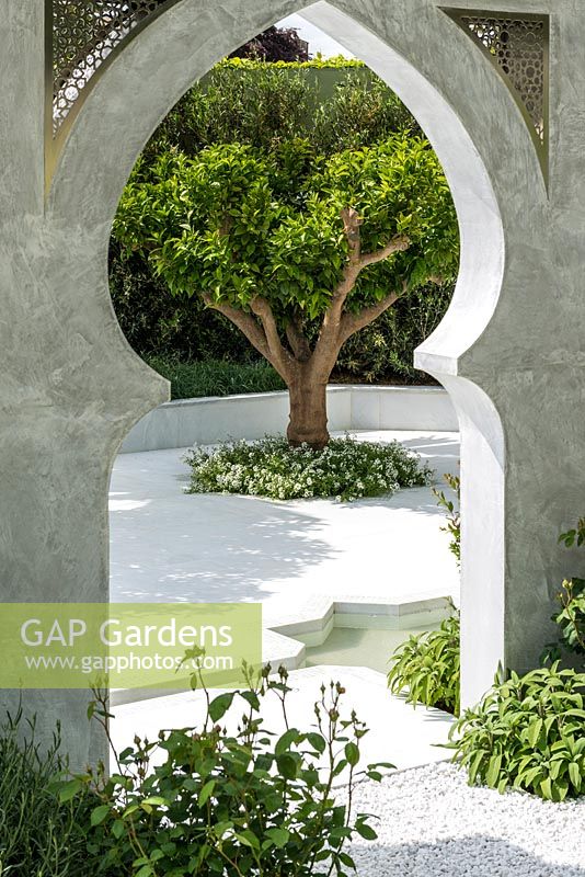 View of a citrus tree in a tranquil courtyard. The Beauty of Islam  Garden. RHS Chelsea Flower Show, 2015