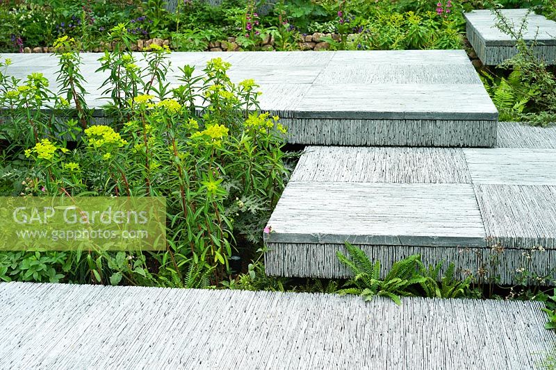 A hand-cut slate platform with shady woodland planting including Euphorbia x pasteurii, Acanthus spinosa, Blechnum spicant, Astrantia. The Brewin Dolphin Garden. RHS Chelsea Flower Show, 2015