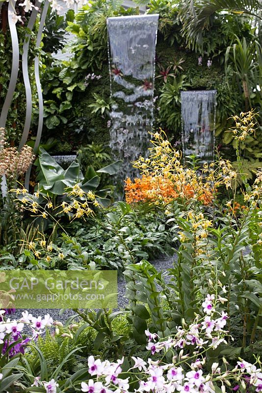 View from border to waterfalls mounted against a green wall. Planting includes Dendrobium 'Asian Youth Games Singapore 09' and Aranda 'Singa Gold'. The hidden beauty of Kranji. RHS Chelsea Flower Show, 2015