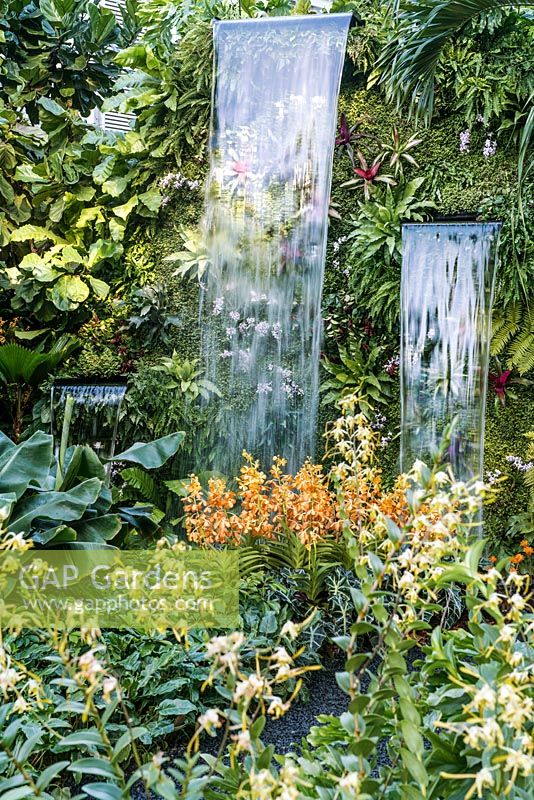 Waterfalls and orchid varieties including Dendrobium 'Asian Youth Games Singapore 09' and Aranda 'Singa Gold' - The Hidden Beauty of Kranji by Esmond Landscape and Uniseal. RHS Chelsea Flower Show, 2015